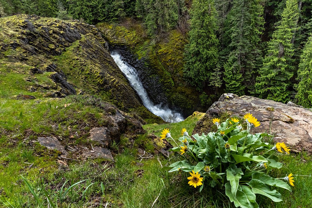 Elk Creek Falls waterfall