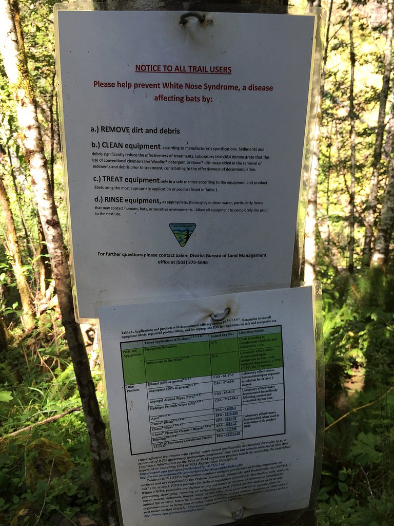 Elk Creek Falls waterfall