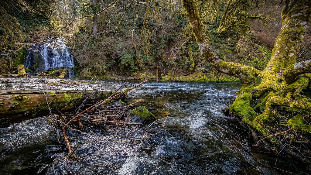 Elk Creek Falls waterfall