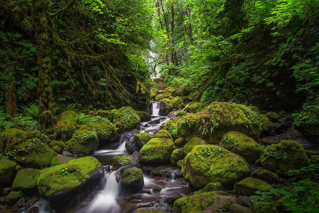Elowah Falls waterfall