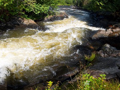 Ely Falls, MI