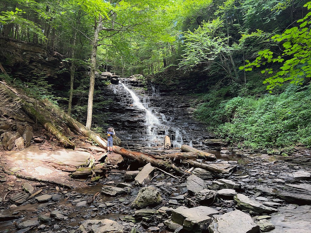 F L Ricketts Falls waterfall
