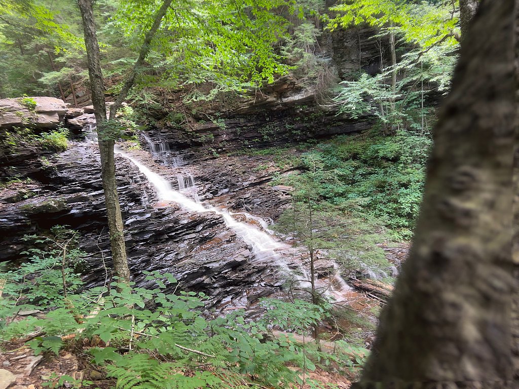 F L Ricketts Falls waterfall