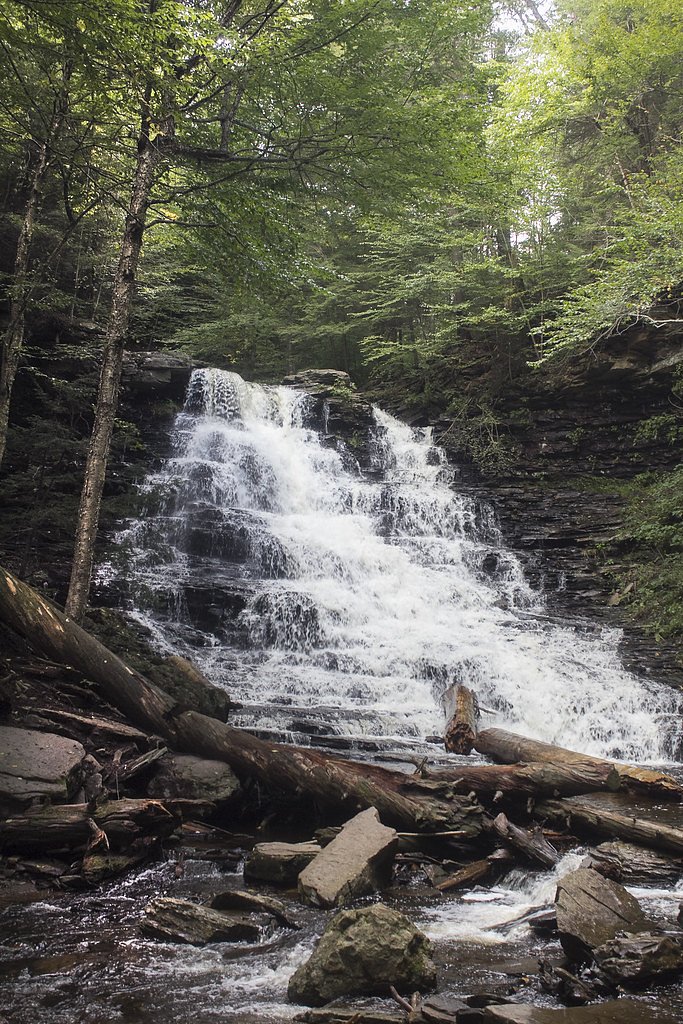 F L Ricketts Falls waterfall