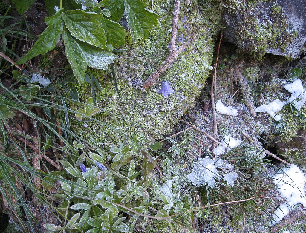 Fairy Falls waterfall