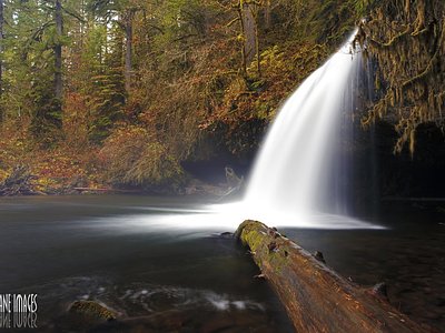 Fall Creek Falls