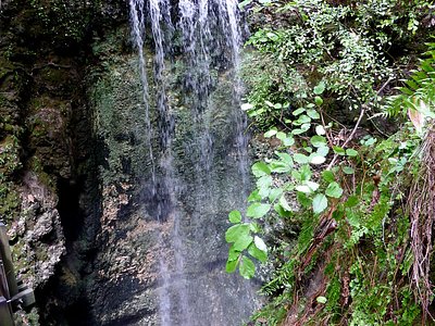 Falling Water