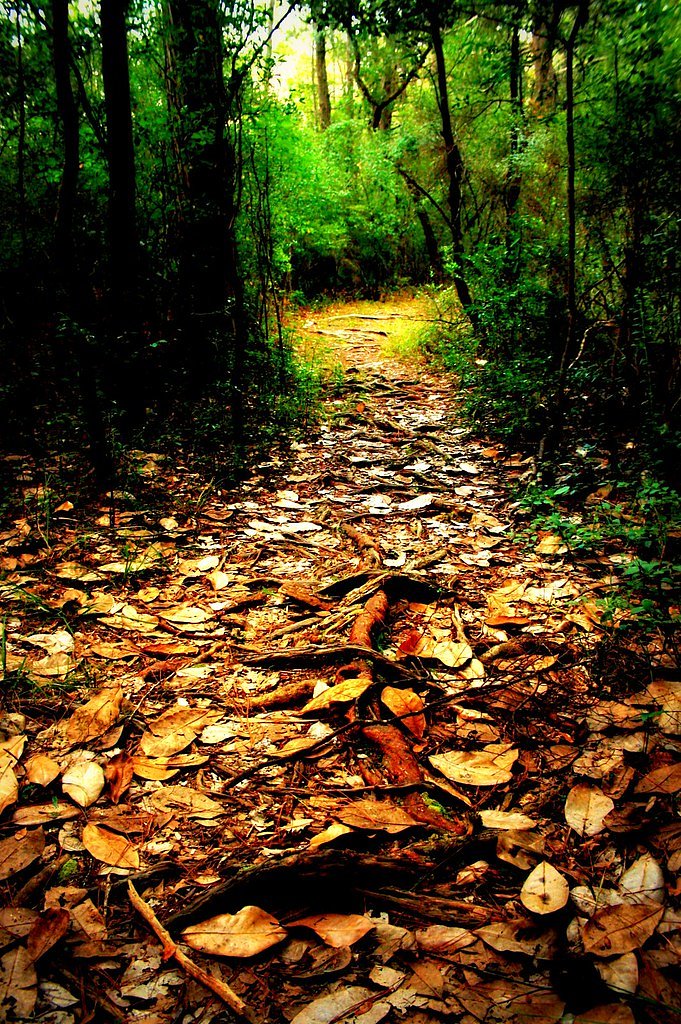 Falling Water waterfall