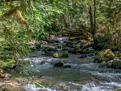 Falls Creek Falls, WA