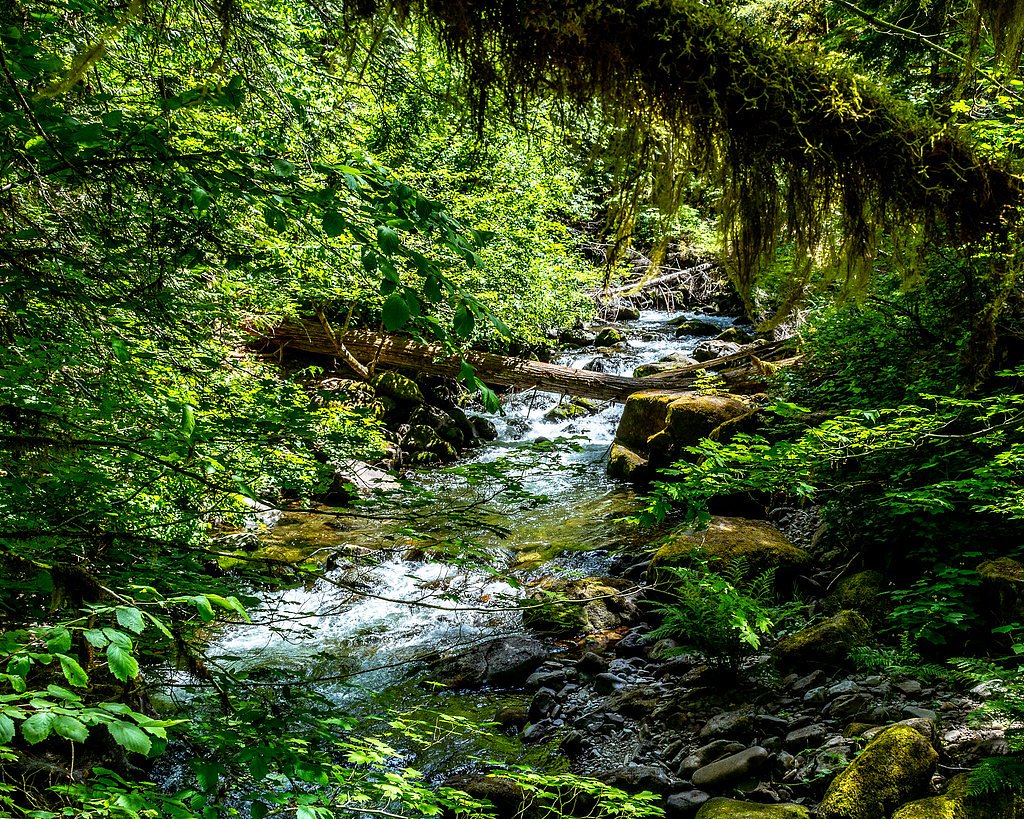 Falls Creek Falls waterfall