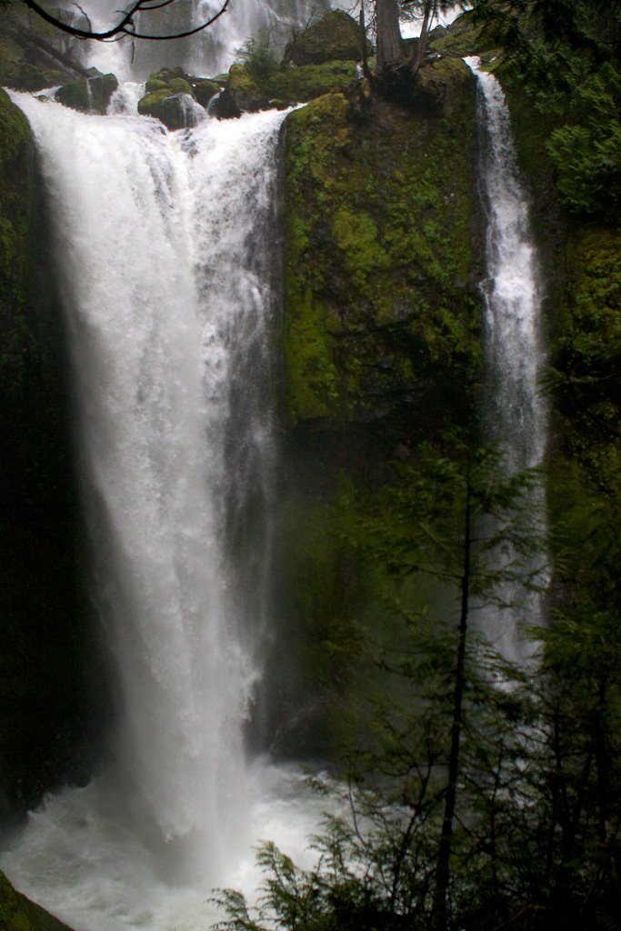 Falls Creek Falls waterfall