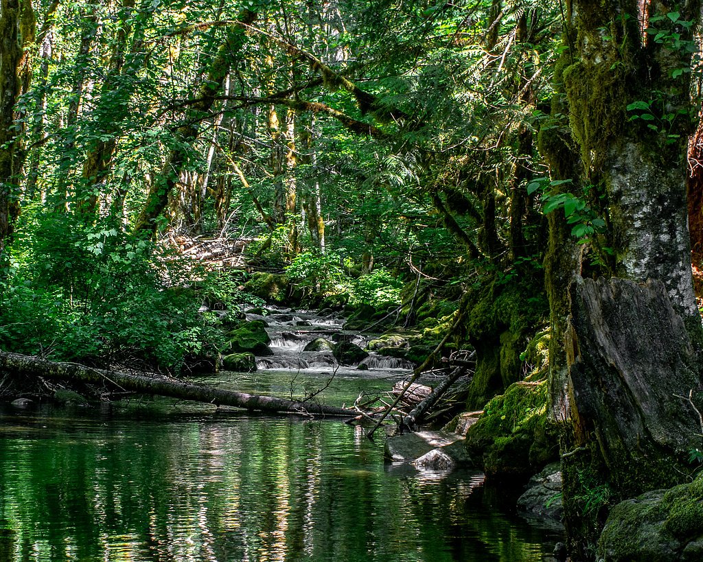 Falls Creek Falls waterfall