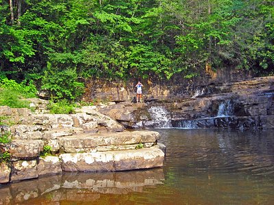 Falls of Dismal