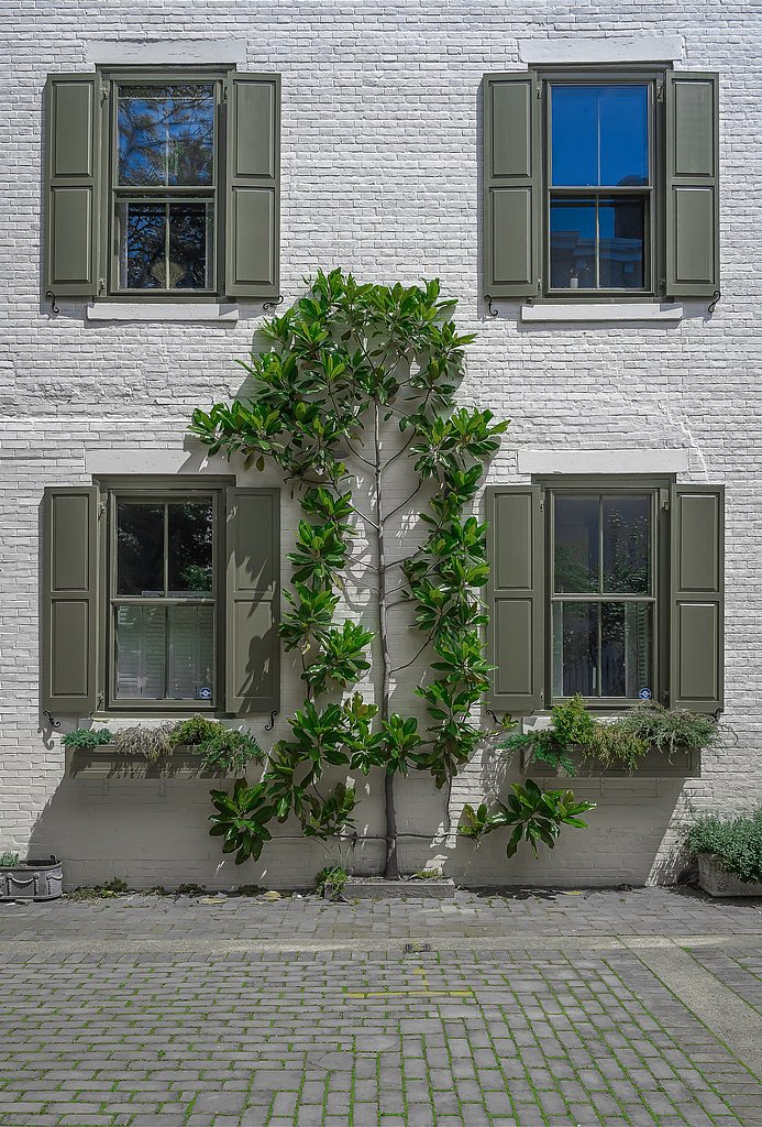 Falls of Schuylkill waterfall
