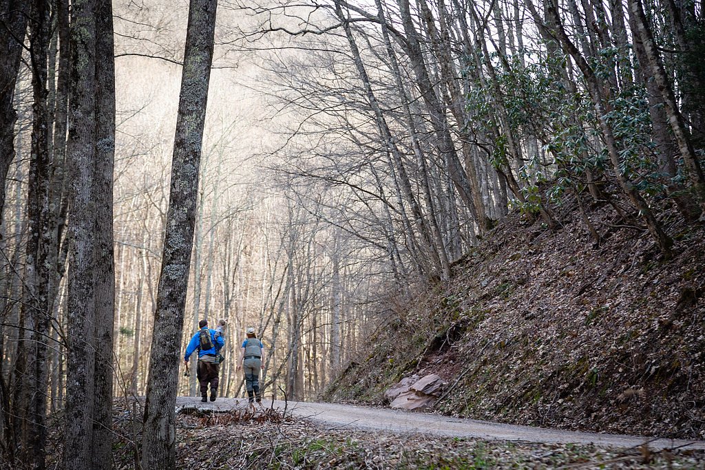 Falls of Seneca waterfall