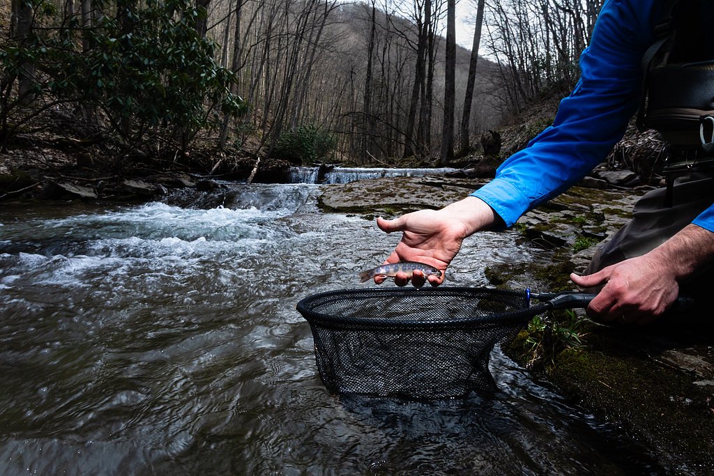 Falls of Seneca waterfall