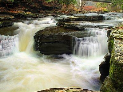Fern Cascades