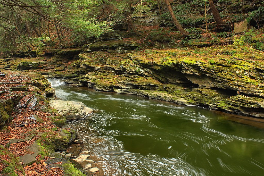 Fern Cascades waterfall