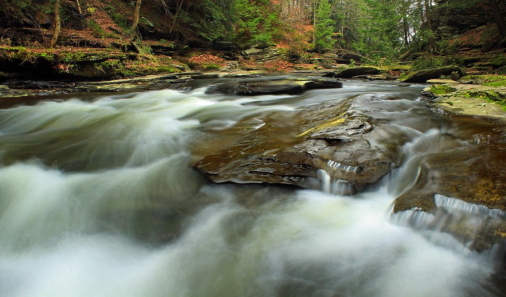 Fern Cascades waterfall
