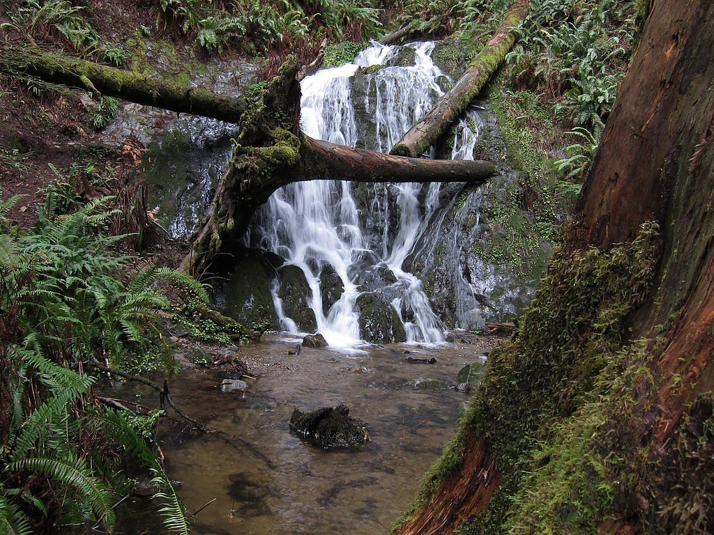 Fern Falls waterfall