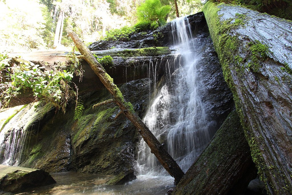 Fern Falls waterfall