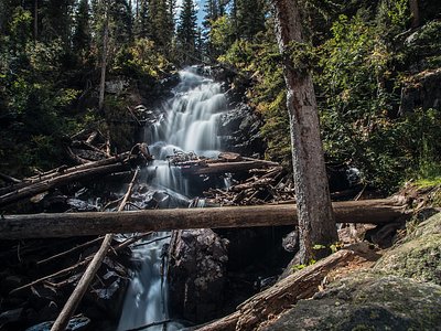 Fern Falls