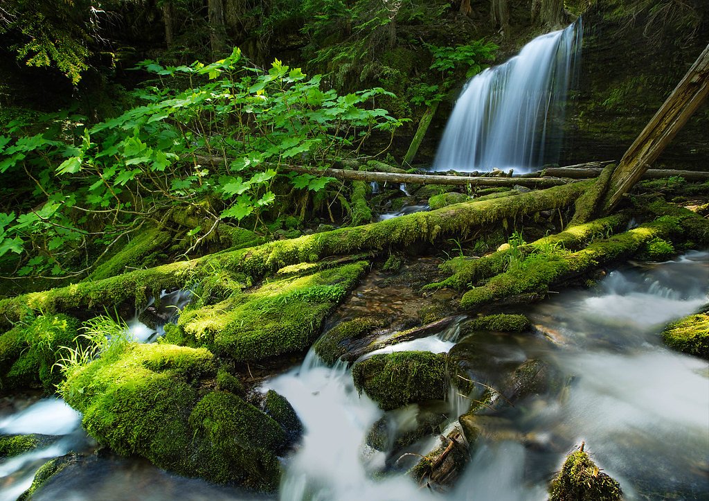 Fern Falls waterfall