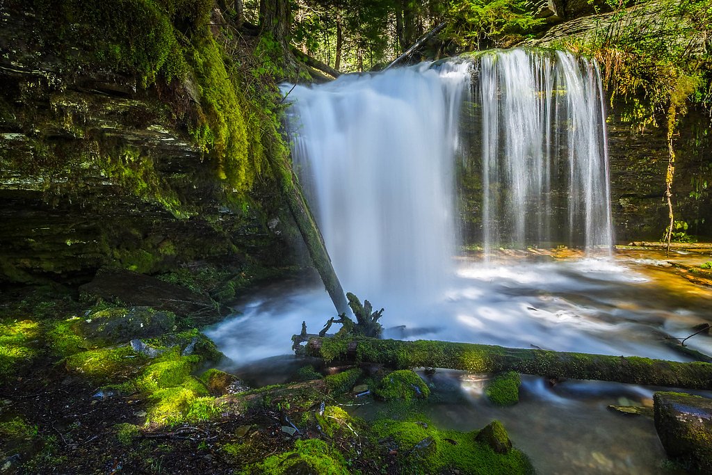 Fern Falls waterfall