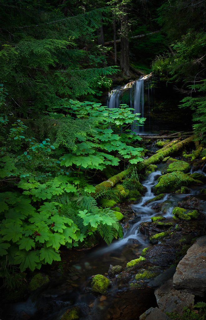 Fern Falls waterfall