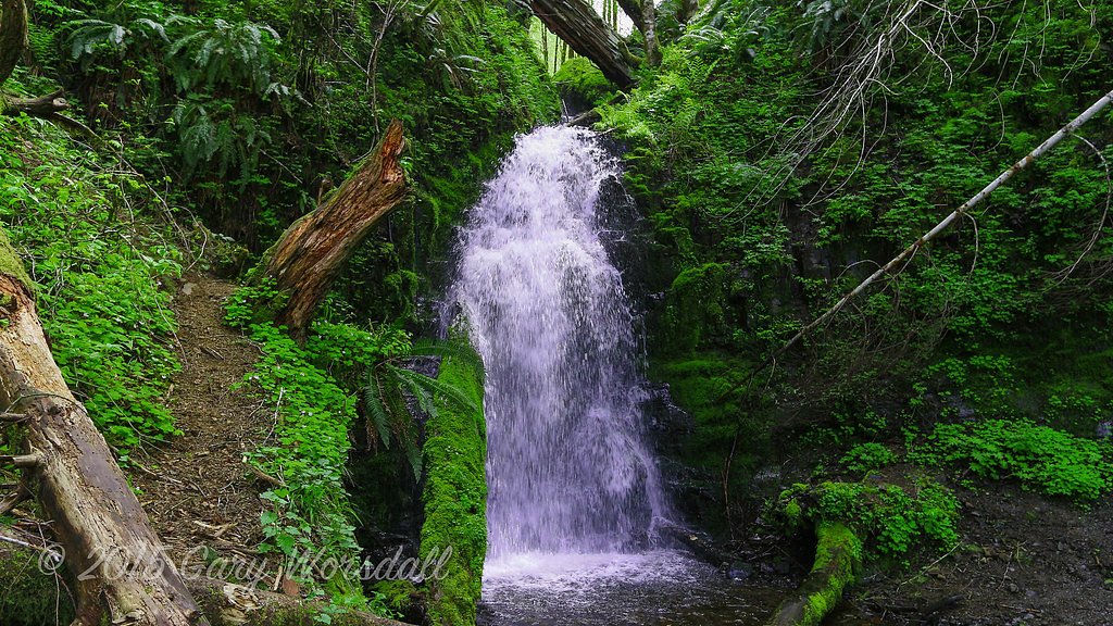Fern Rock Falls waterfall