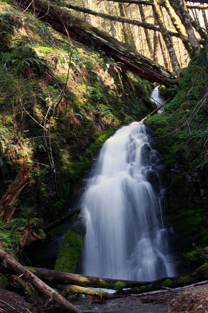 Fern Rock Falls waterfall