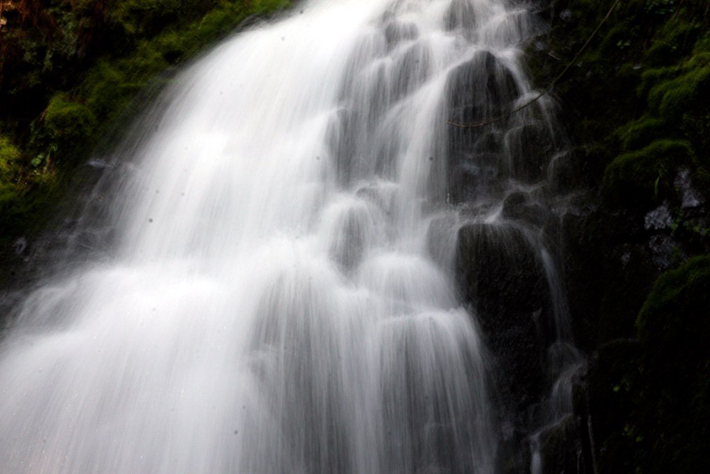 Fern Rock Falls waterfall