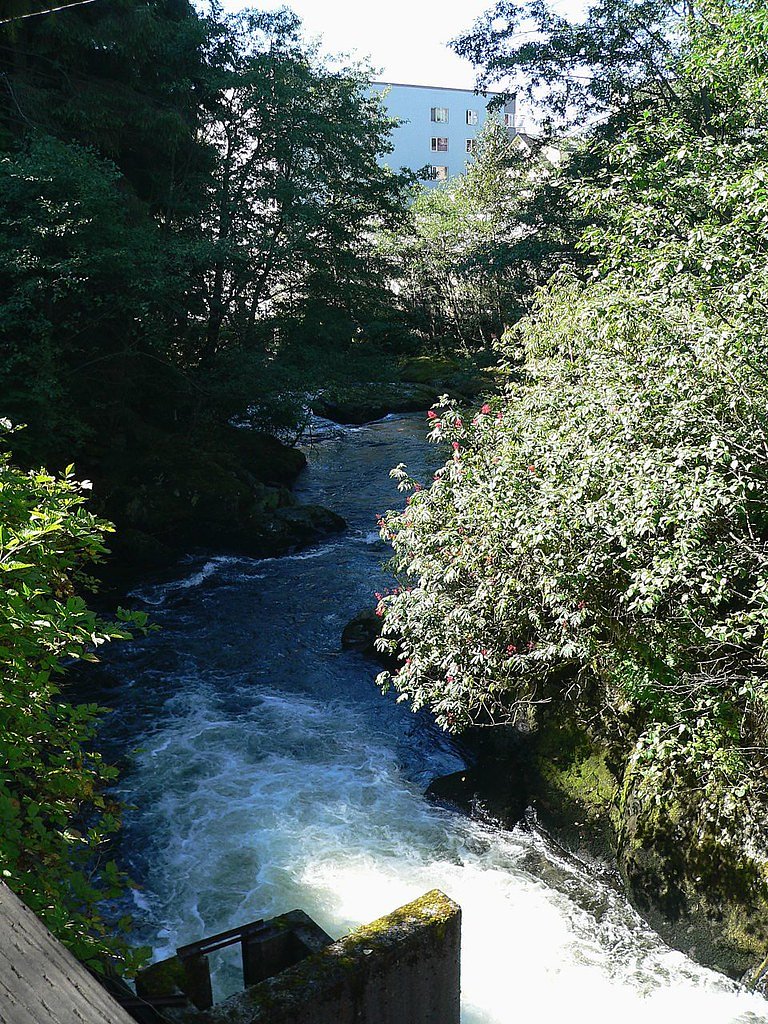 Fish Ladder waterfall
