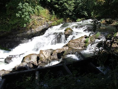 Fish Ladder Falls