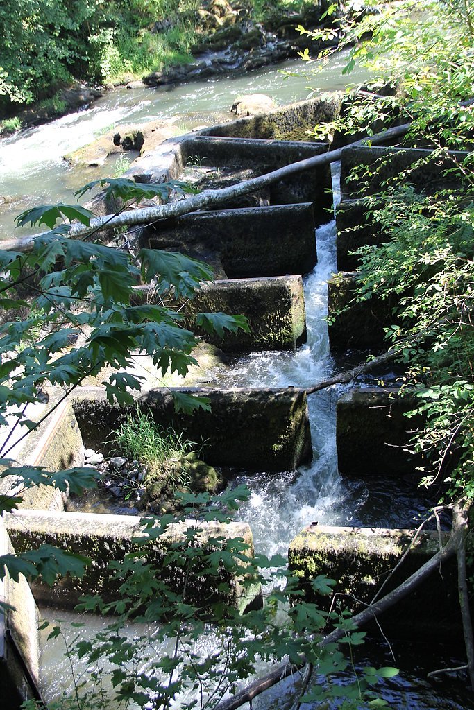 Fish Ladder Falls waterfall