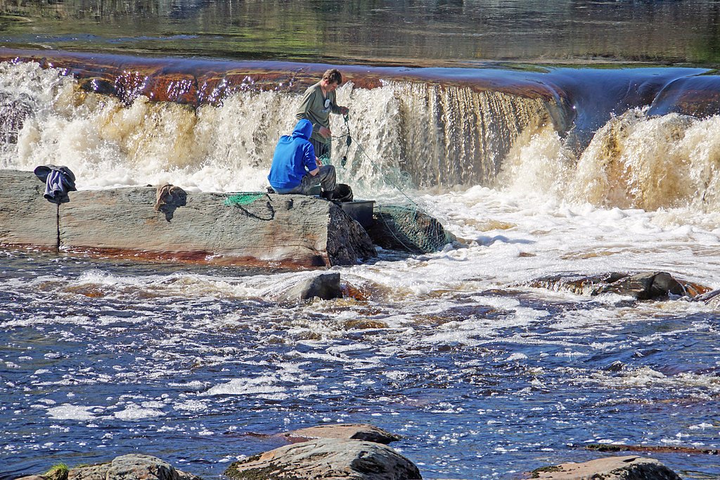 Fish River Falls waterfall