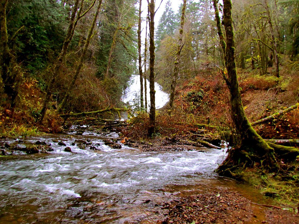 Fishhawk Falls waterfall