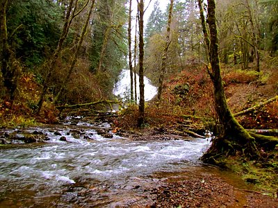 Fishhawk Falls