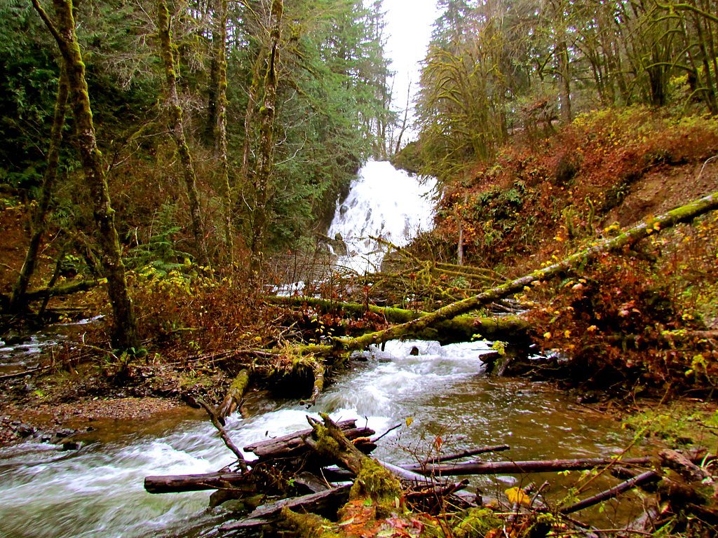 Fishhawk Falls waterfall