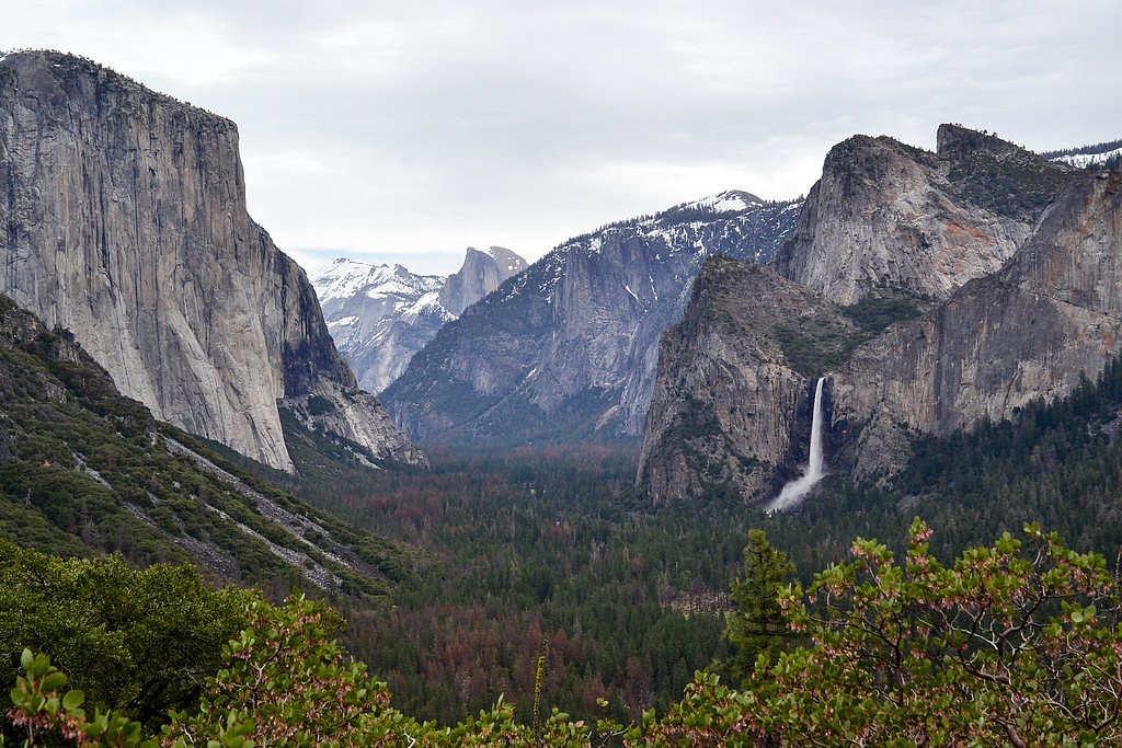 Foresta Falls waterfall