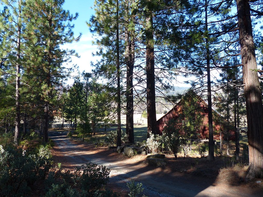 Foresta Falls waterfall