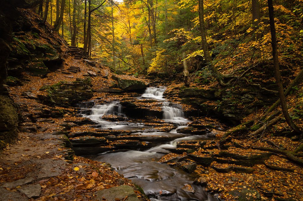 Ganoga Falls waterfall