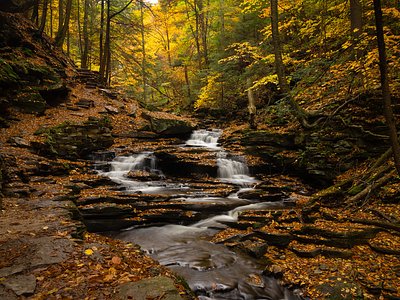 Ganoga Falls, PA