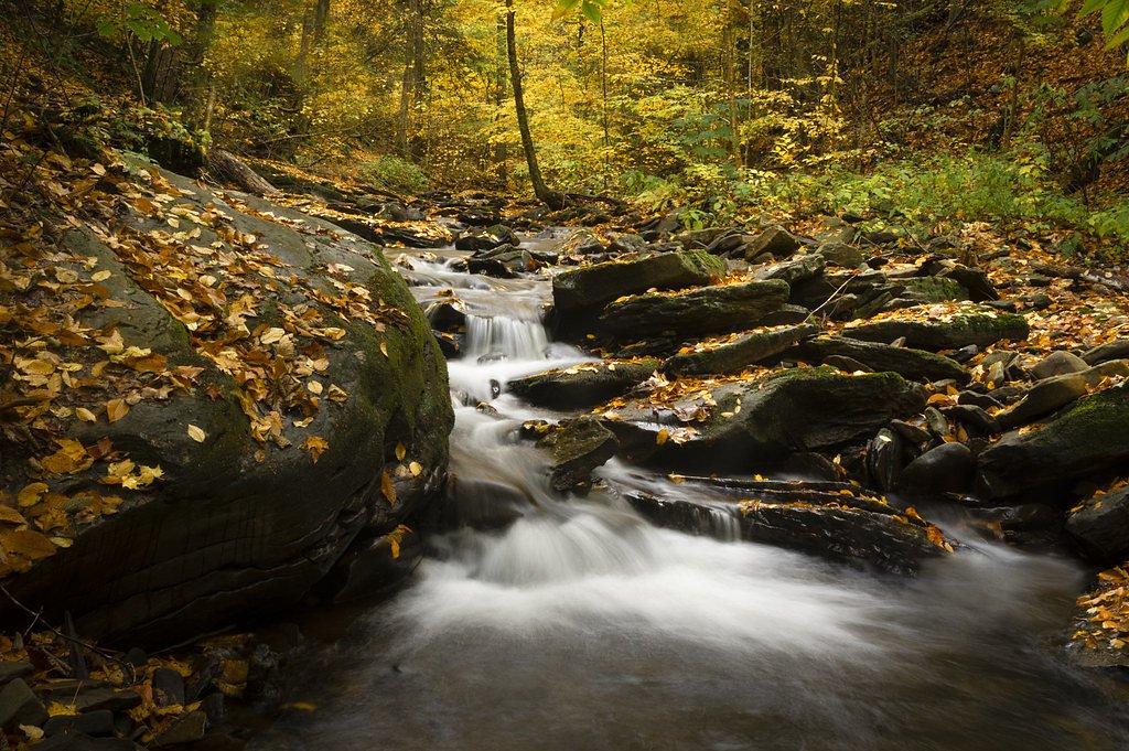 Ganoga Falls waterfall