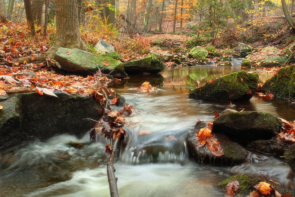 Gap Falls waterfall