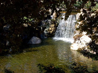 Garlic Falls