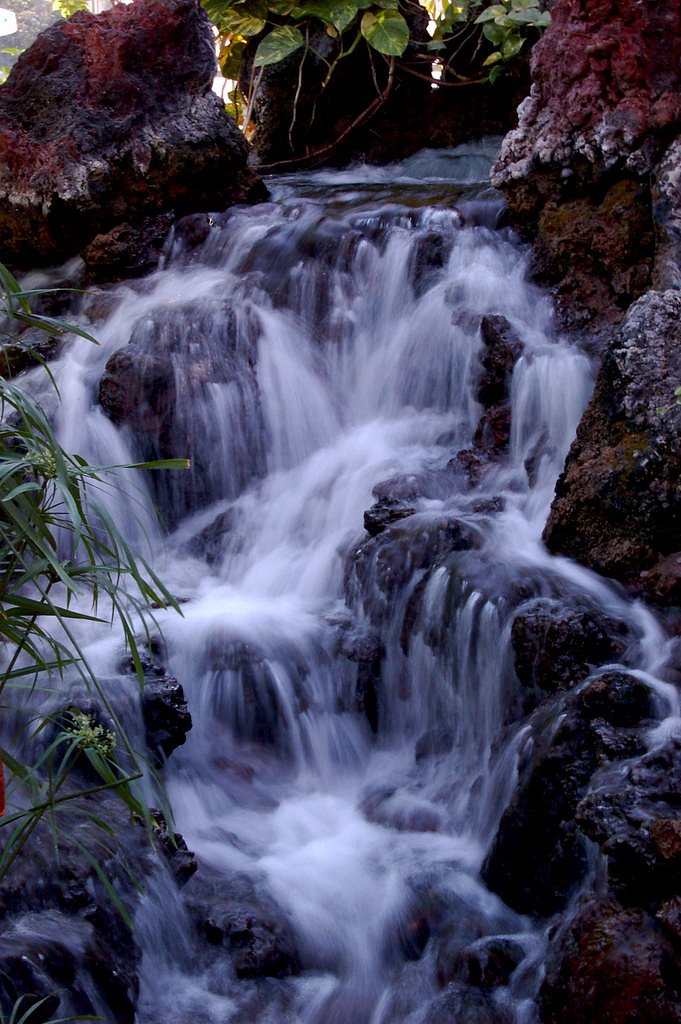 Garlic Falls waterfall