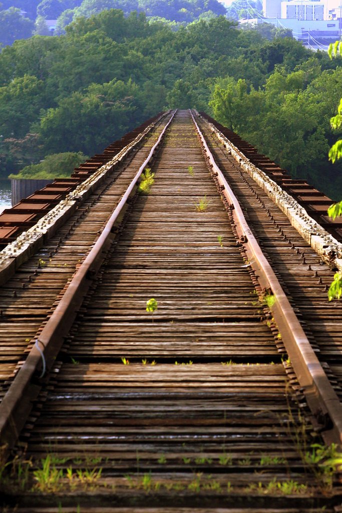 Georgia Falls waterfall