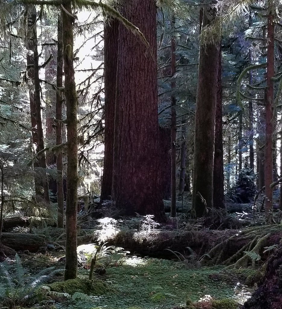 Giant Falls waterfall