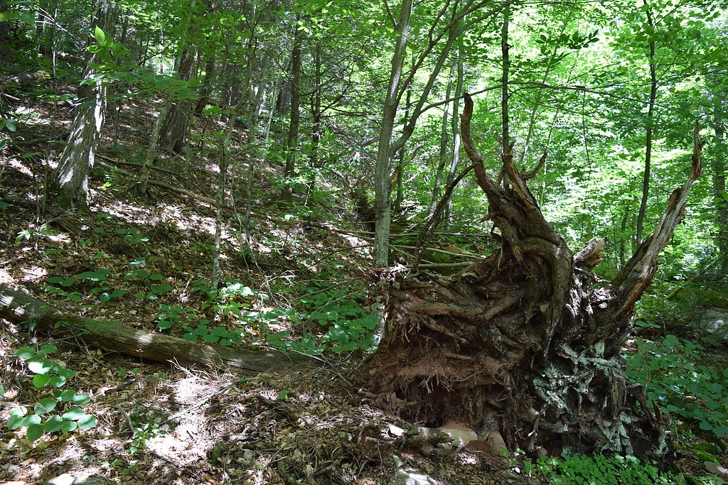 Glen Falls waterfall